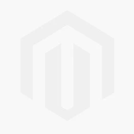 Qeridoo Kidgoo 2 Fahrradanhänger Ivy Green Mit Joggerfunktion 2023 4 Qeridoo Kidgoo 2 Fahrradanhänger Ivy Green Mit Joggerfunktion 2023 – Bild 2