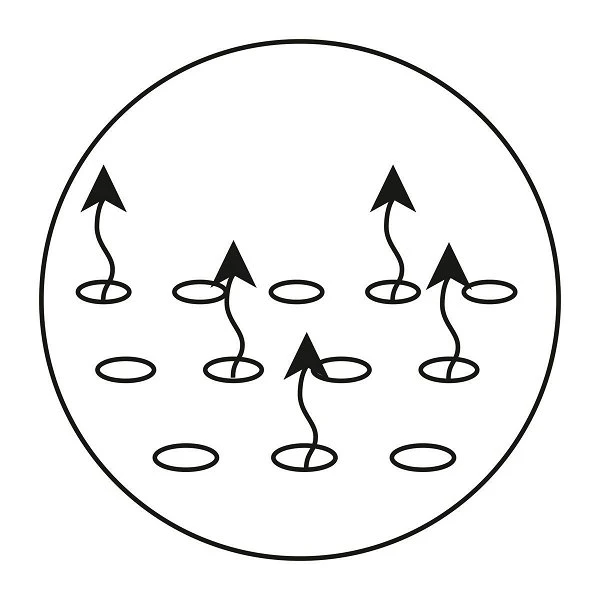 Alvi Farm Matratze 70 X 140 Cm Bezug 6 Alvi Farm Matratze 70 X 140 Cm Bezug – Bild 4